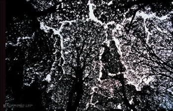 【風の旅人】21〜43巻　えいた Amazon.co.jp: 風の旅人 vol.41 : 本